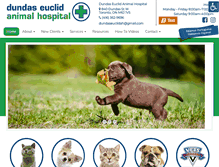 Tablet Screenshot of my-petdoctor.com